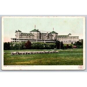 Postcard NH Mt. Washington Hotel White Mountains Sheep Unposted c1920s Phostint